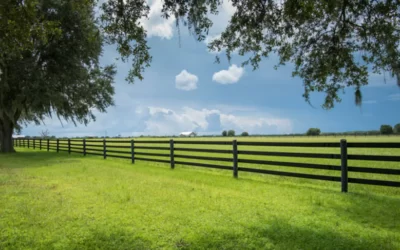 The Boundary Lines Have Fallen for Me in Pleasant Places: Psalm 16:6