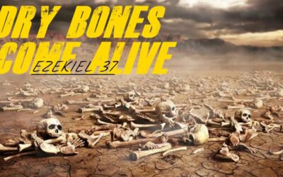 Heart of Stone and Flesh, and a Valley of Dry Bones