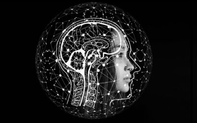 Free Will Does Not Exist