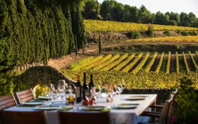 Isaiah 26:7-8: The Blessings of God and Flourishing in a Fallen World