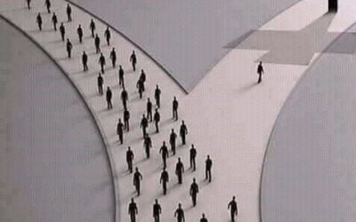 The Wide and Narrow Road Reconsidered