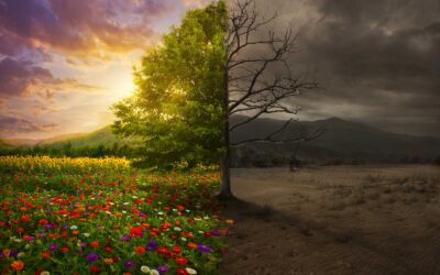 Epistemology and the Fall: The Tree of the Knowledge of Good and Evil